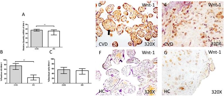 Int J Med Sci Image