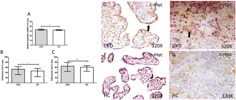 Int J Med Sci Image