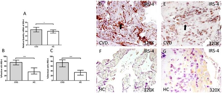 Int J Med Sci Image