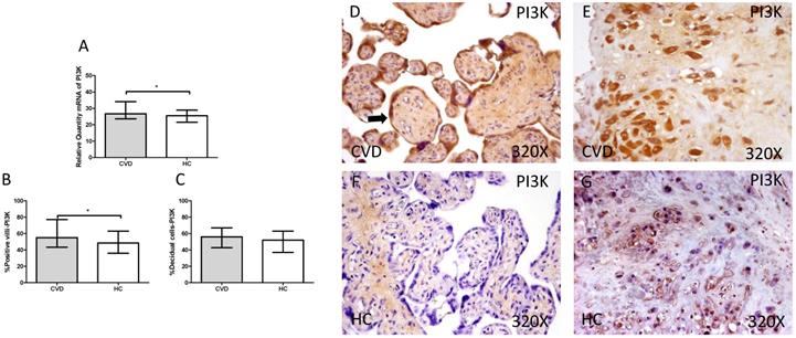 Int J Med Sci Image