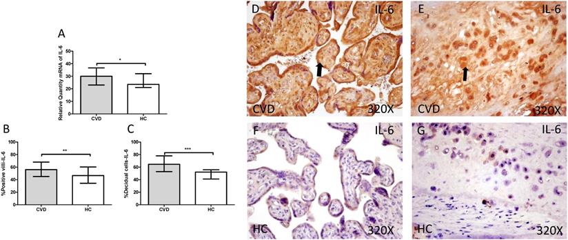 Int J Med Sci Image