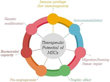 Int J Med Sci Image