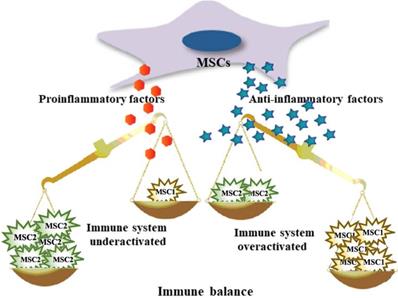 Int J Med Sci Image