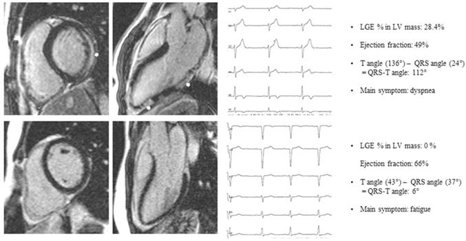 Int J Med Sci Image