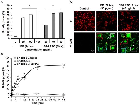 Int J Med Sci Image