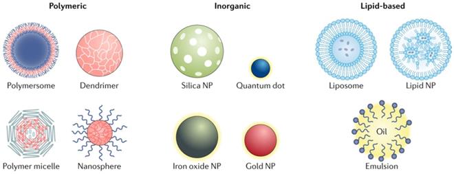 Int J Med Sci Image