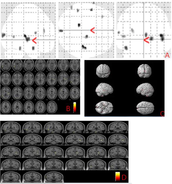 Int J Med Sci Image