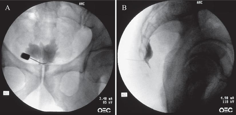 Int J Med Sci Image