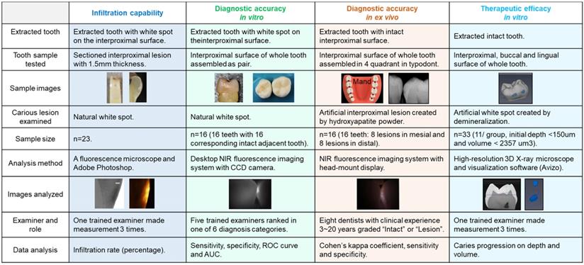 Int J Med Sci Image