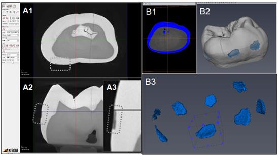 Int J Med Sci Image