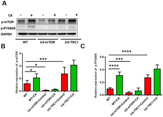 Int J Med Sci Image