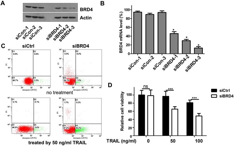 Int J Med Sci Image