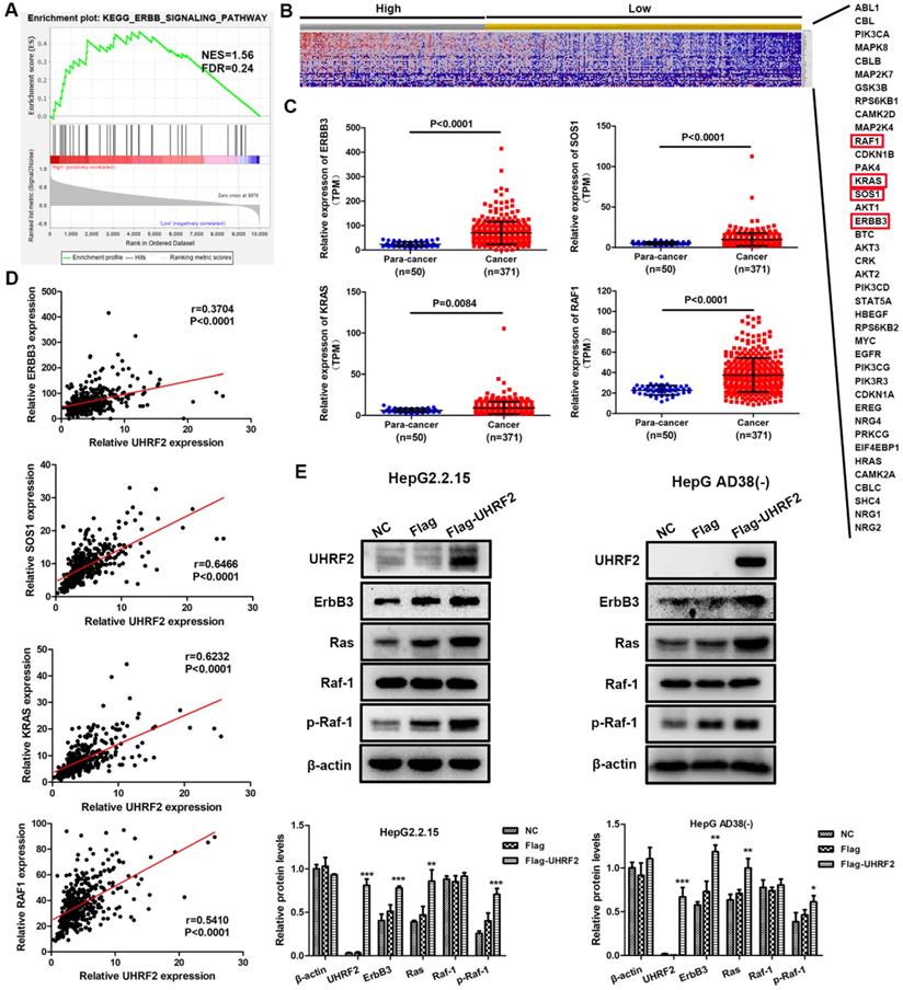 Int J Med Sci Image