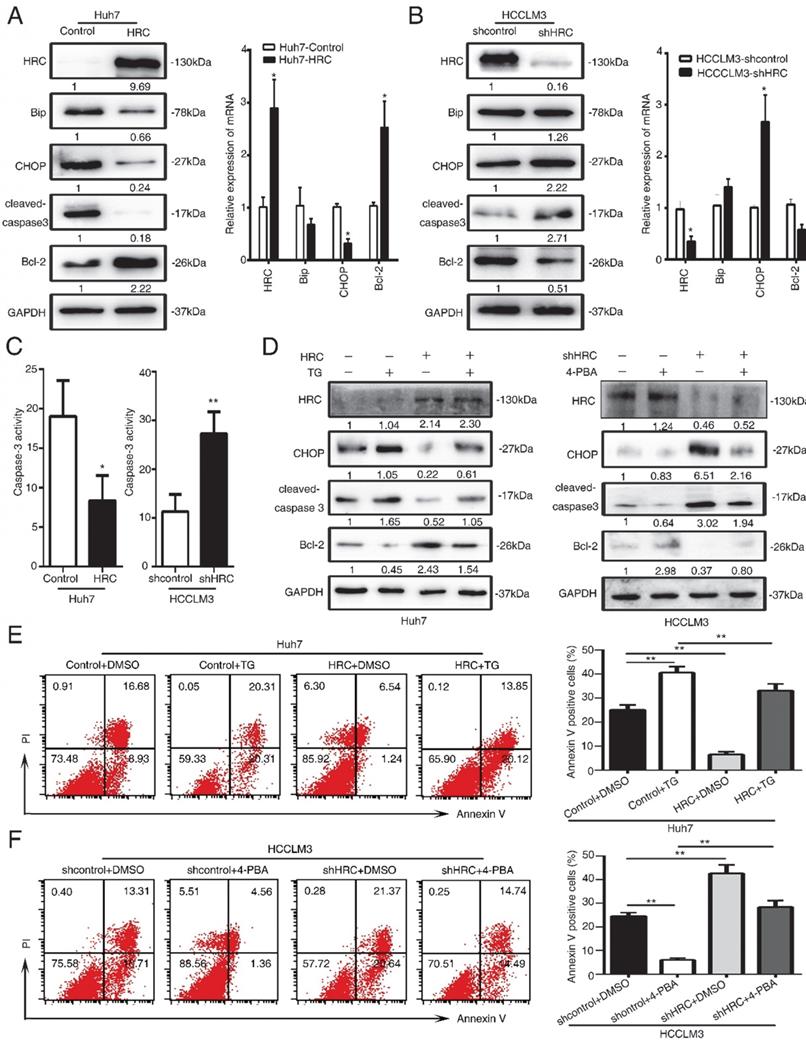 Int J Med Sci Image