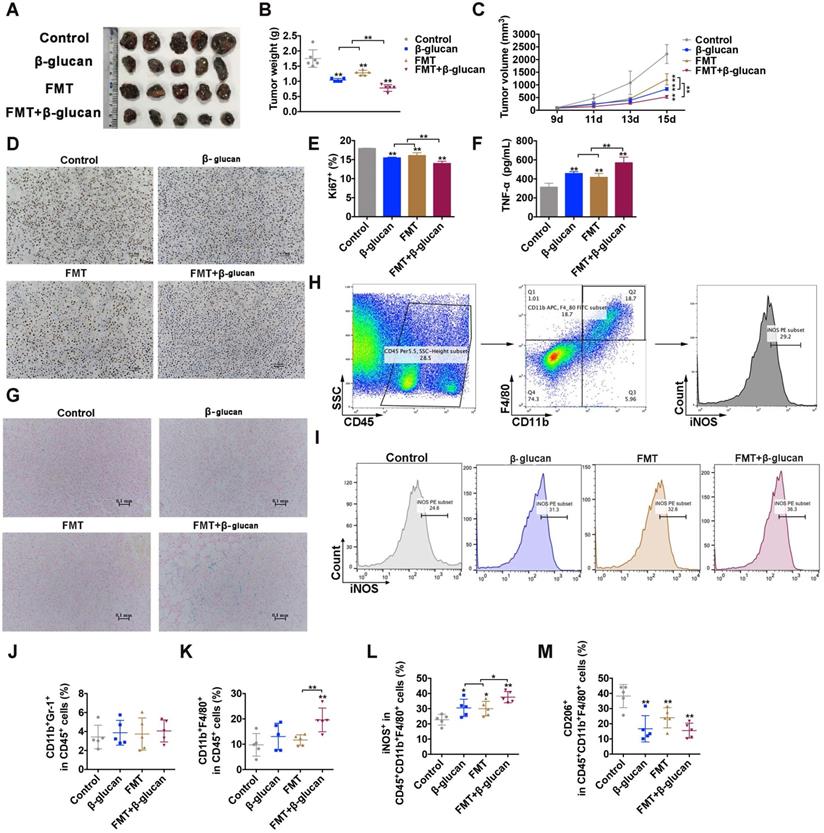 Int J Med Sci Image