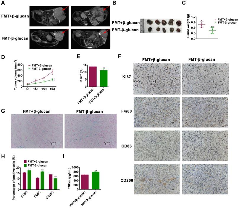 Int J Med Sci Image