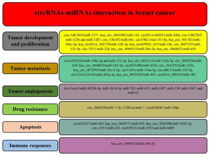 Int J Med Sci Image