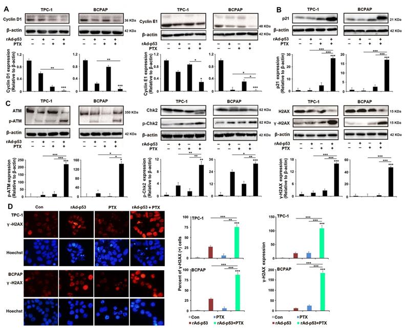 Int J Med Sci Image