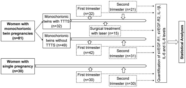 Int J Med Sci Image