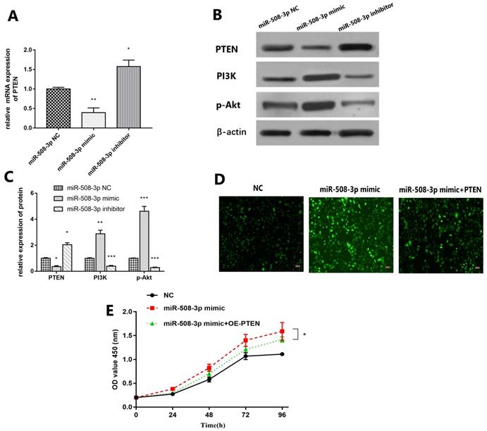 Int J Med Sci Image