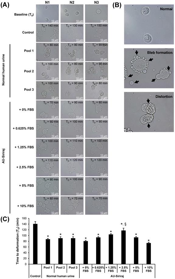 Int J Med Sci Image