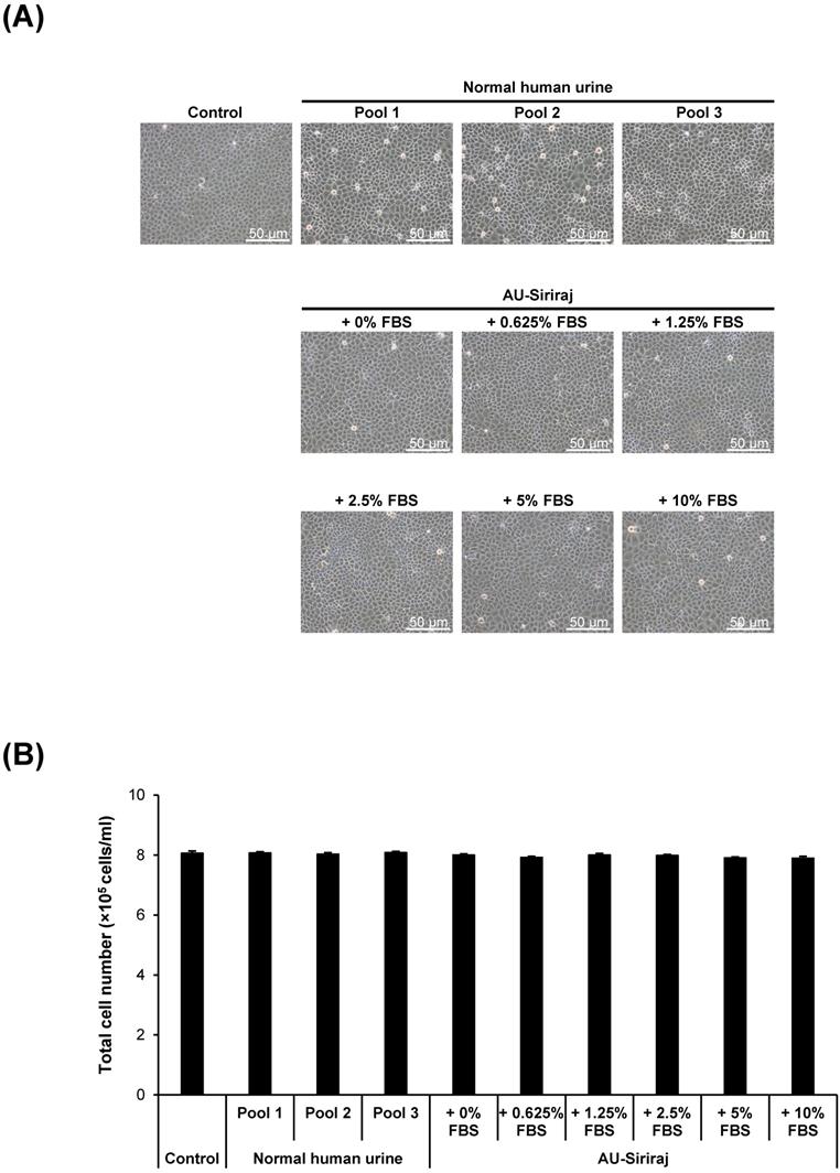 Int J Med Sci Image