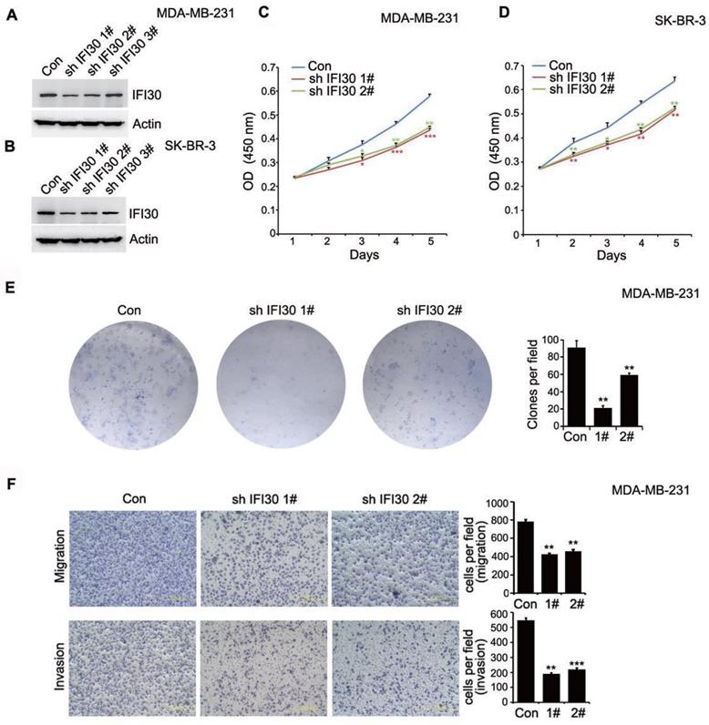 Int J Med Sci Image