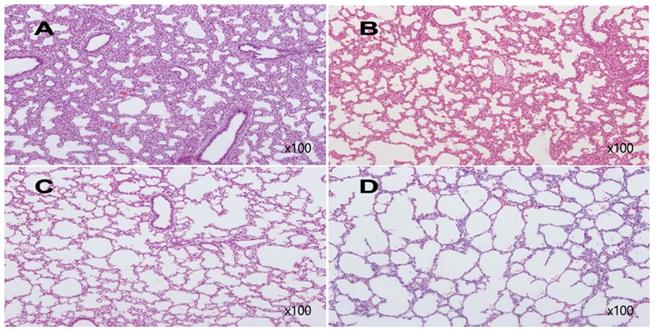 Int J Med Sci Image