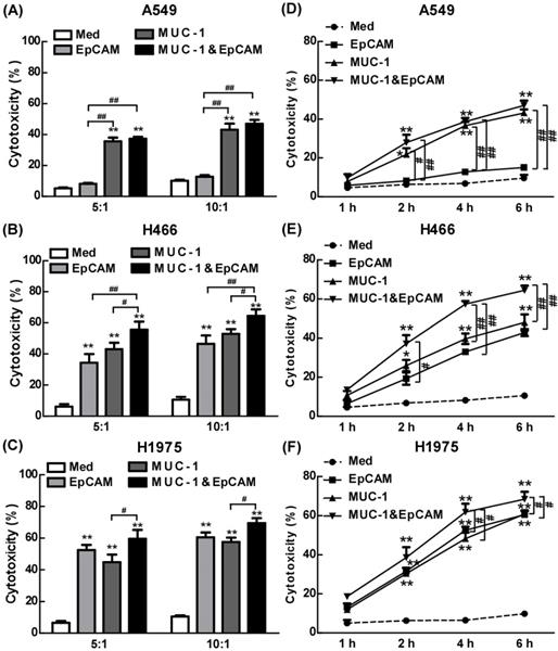 Int J Med Sci Image