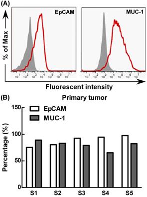 Int J Med Sci Image