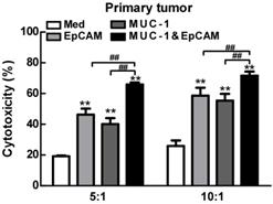 Int J Med Sci Image