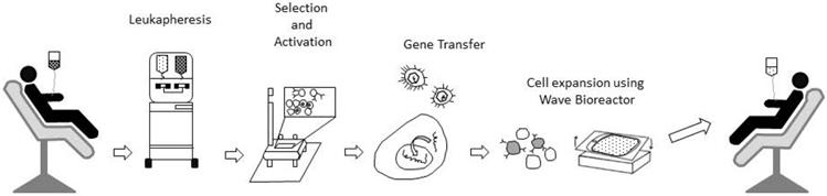 Int J Med Sci Image