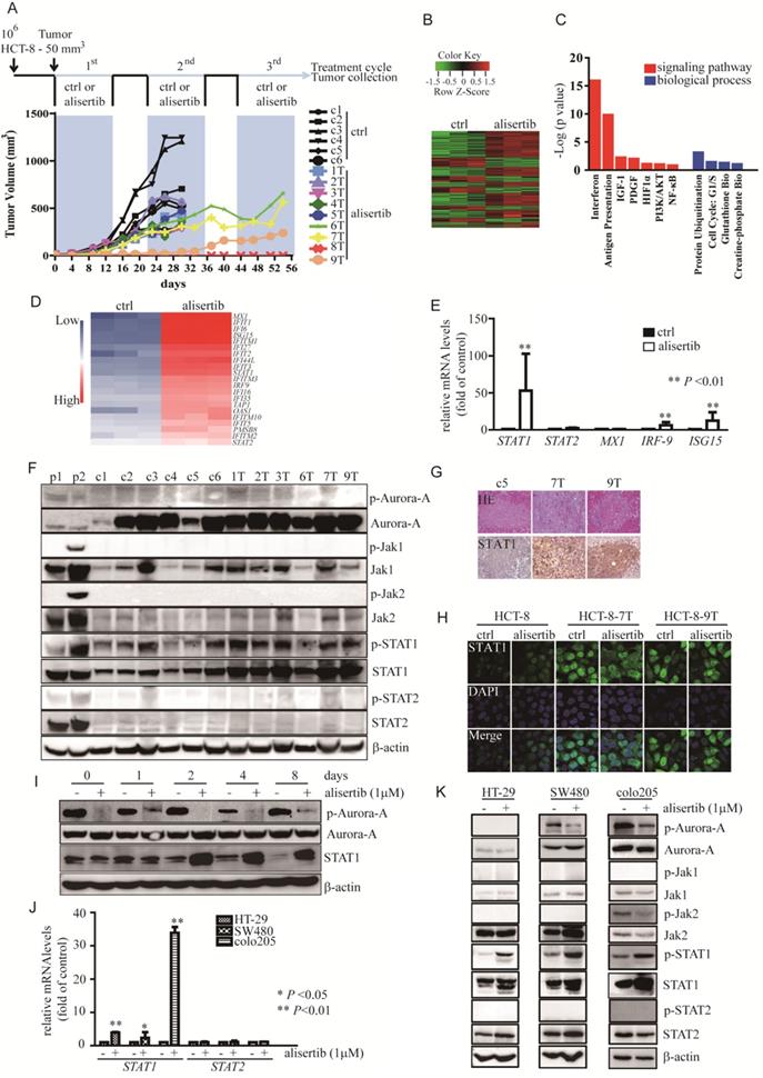 Int J Med Sci Image