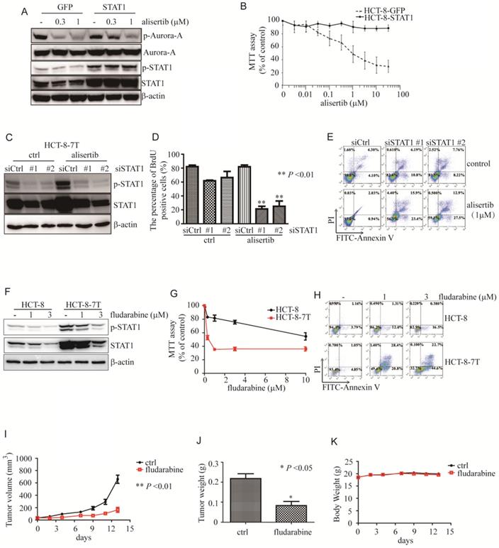 Int J Med Sci Image