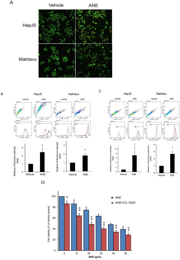 Int J Med Sci Image