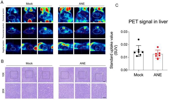 Int J Med Sci Image