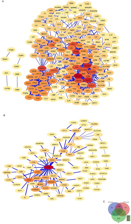 Int J Med Sci Image