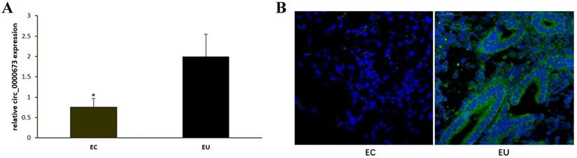 Int J Med Sci Image