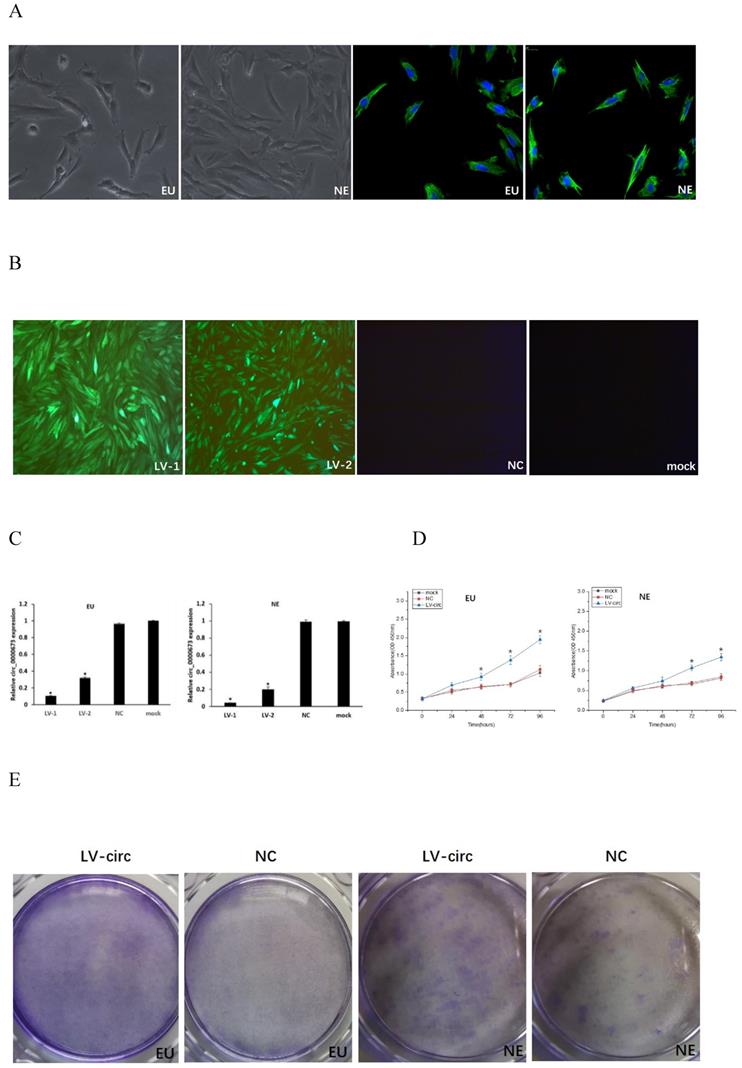 Int J Med Sci Image