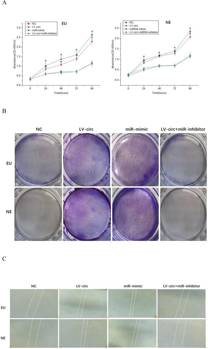 Int J Med Sci Image