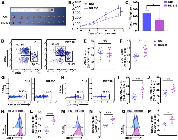 Int J Med Sci Image