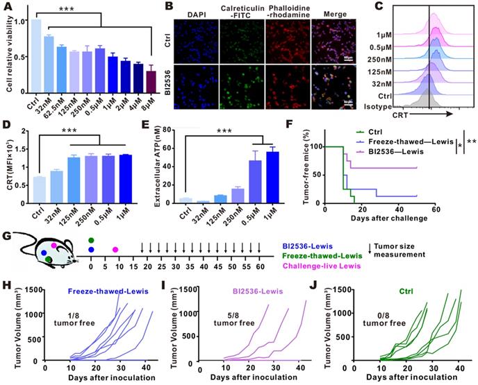 Int J Med Sci Image