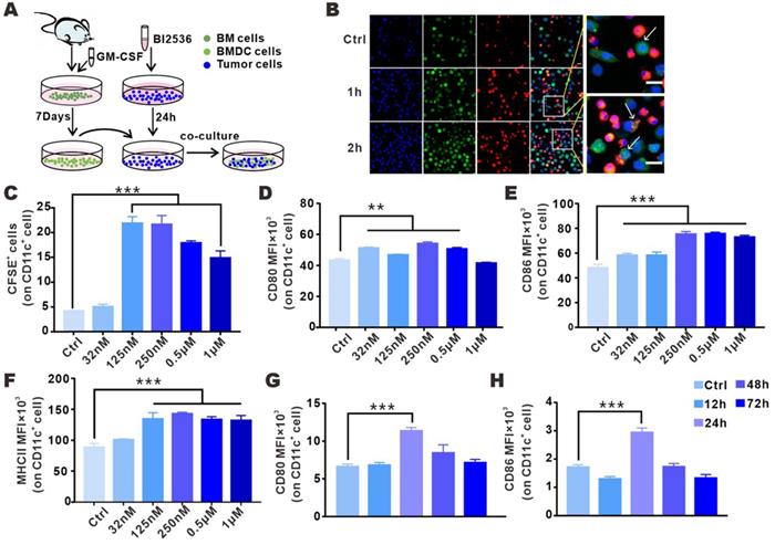 Int J Med Sci Image