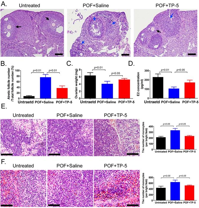 Int J Med Sci Image