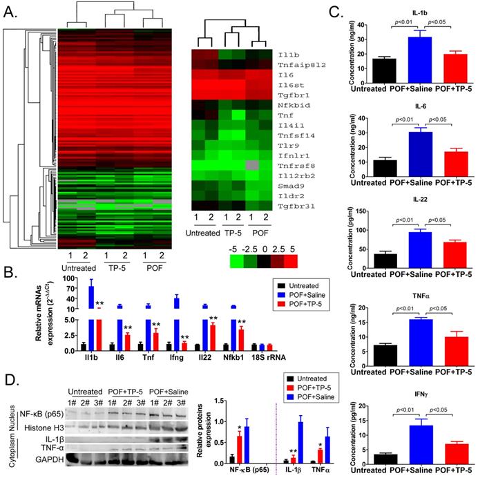 Int J Med Sci Image