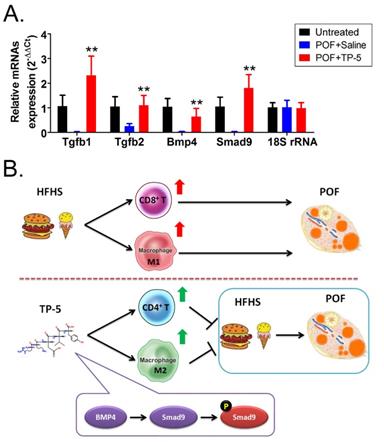 Int J Med Sci Image