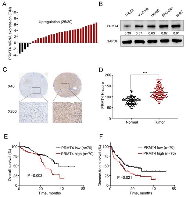 Int J Med Sci Image