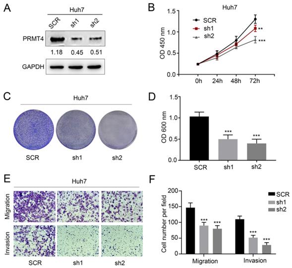 Int J Med Sci Image