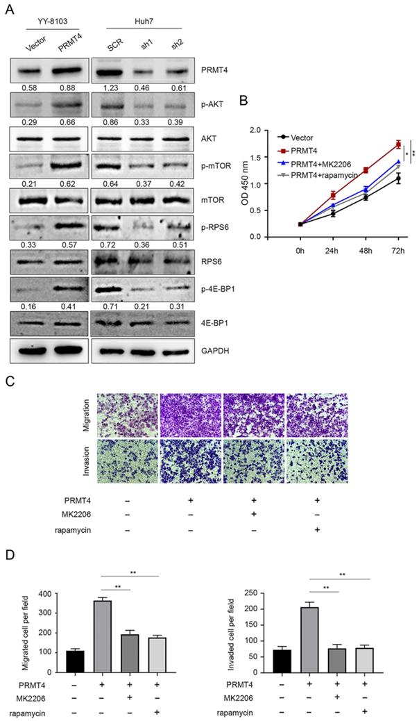 Int J Med Sci Image