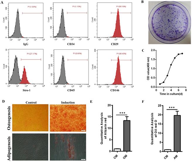 Int J Med Sci Image